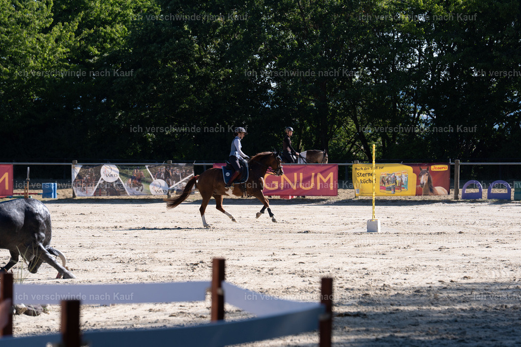 WL_SP_89_SinaFilmArt_IN05716 | working equitationturnier fotograf videograf stoibphotography marixx film working equitation deutschland reitsport turnierfotografie eventfotografie equestrian events