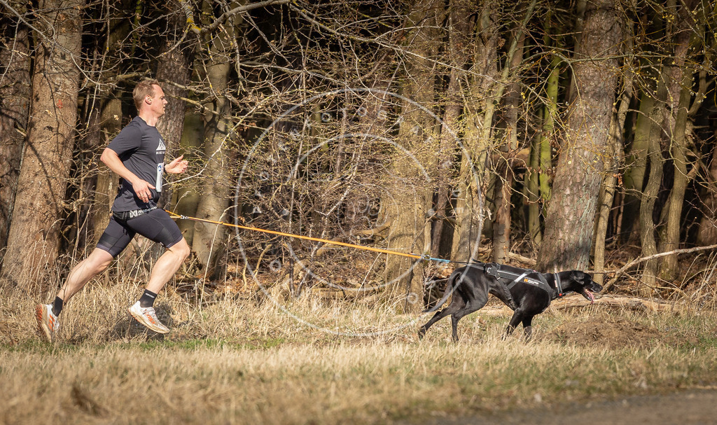 DV3A5805 | Hundefotografie, Tierfotograf, Pfotenfotografie, Fotoshooting Hund, Hunde Portrait, Hundesport, Hundeportraits, Heideshooting, Hunde, Sportfotograf, Hundefotograf, Turnierhundsport, THS,  - Realisiert mit Pictrs.com