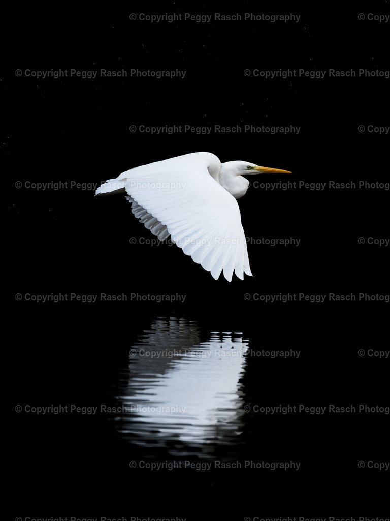 Specials | PeggyRaschPhotography - Realisiert mit Pictrs.com