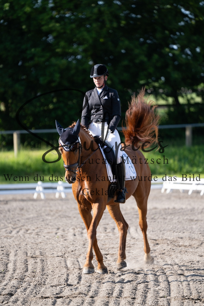 A7V02222 | Pferdefotograf