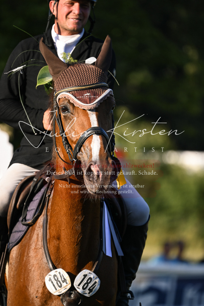 DSC_1872 | Pferde- und Turnierfotografie in Westsachsen. Pferdeportraits, Auftragszeichnungen und intuitive Kunst.