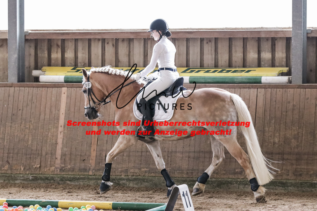 IMG_1709 | lmwpictures - Realisiert mit Pictrs.com