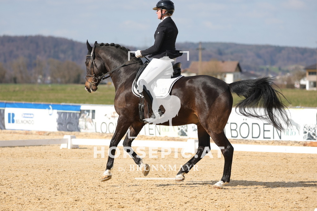 0P6A7705 | Willkommen bei Brunnmayr - Design & Fotografie – Ihrem Spezialisten für Reitturniere und Pferdeveranstaltungen in Oberösterreich, Salzburg und Bayern! Seit über 17 Jahren sind wir leidenschaftlich dabei.