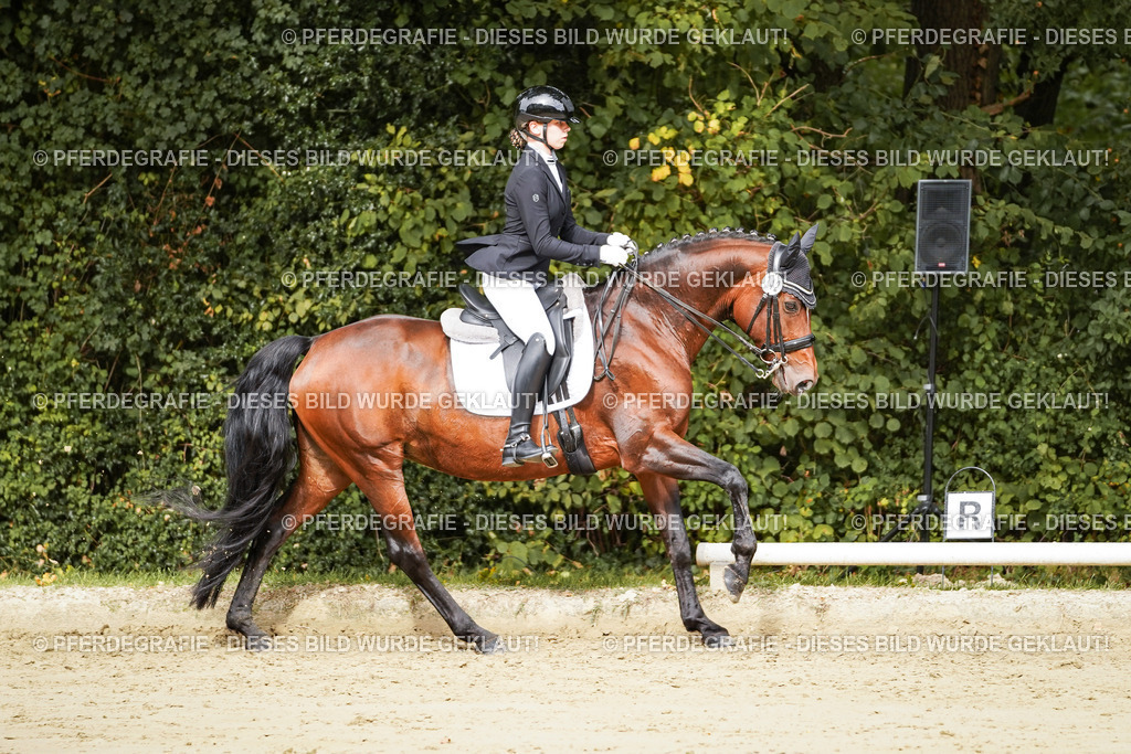 DSC02002 | Pferdegrafie