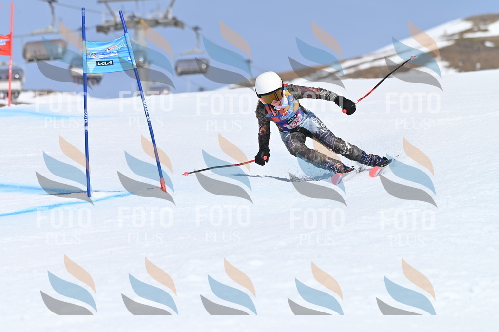 BGV_0100 | holidayphoto