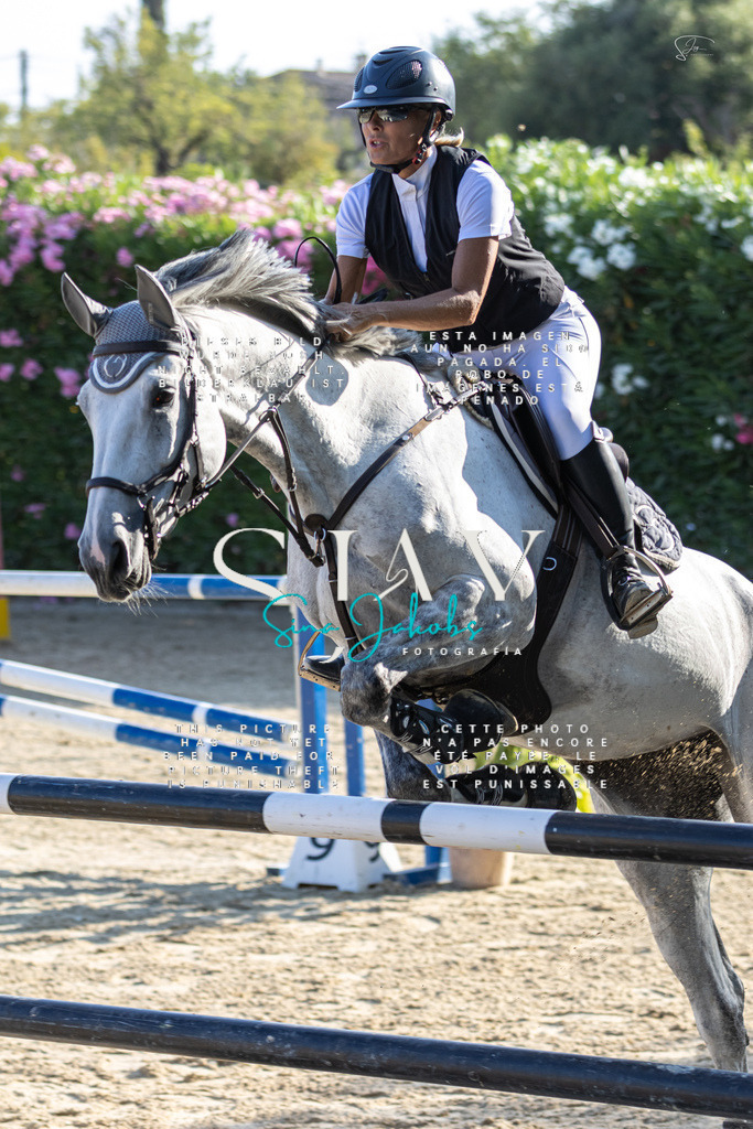 IMG_9450 | s-jay-photography - Realisiert mit Pictrs.com