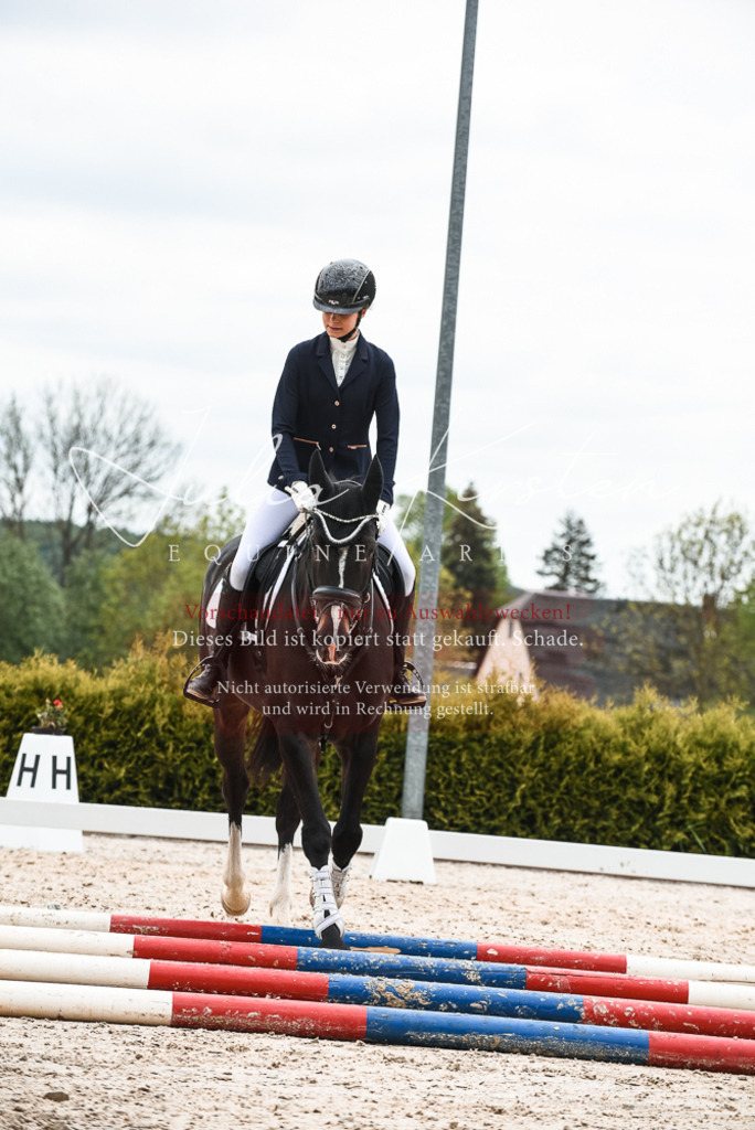 20230518_JK-Röhrsdorf-10-464 | Pferde- und Turnierfotografie in Westsachsen. Pferdeportraits, Auftragszeichnungen und intuitive Kunst.