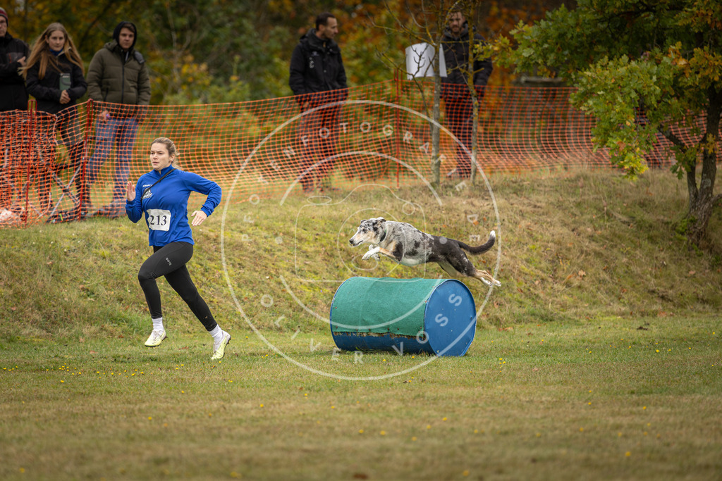 Pfotenfotografie_DV3A4269 | Hundefotografie, Tierfotograf, Pfotenfotografie, Fotoshooting Hund, Hunde Portrait, Hundesport, Hundeportraits, Heideshooting, Hunde, Sportfotograf, Hundefotograf, Turnierhundsport, THS,  - Realisiert mit Pictrs.com
