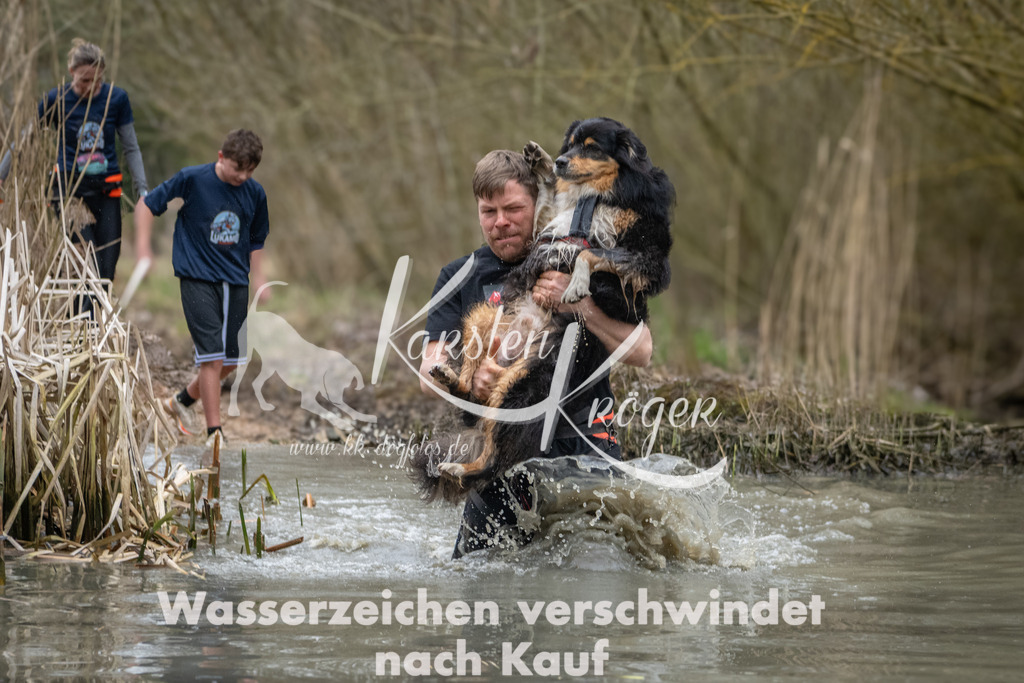 1103_ZZ95032 | kk-dogfotos