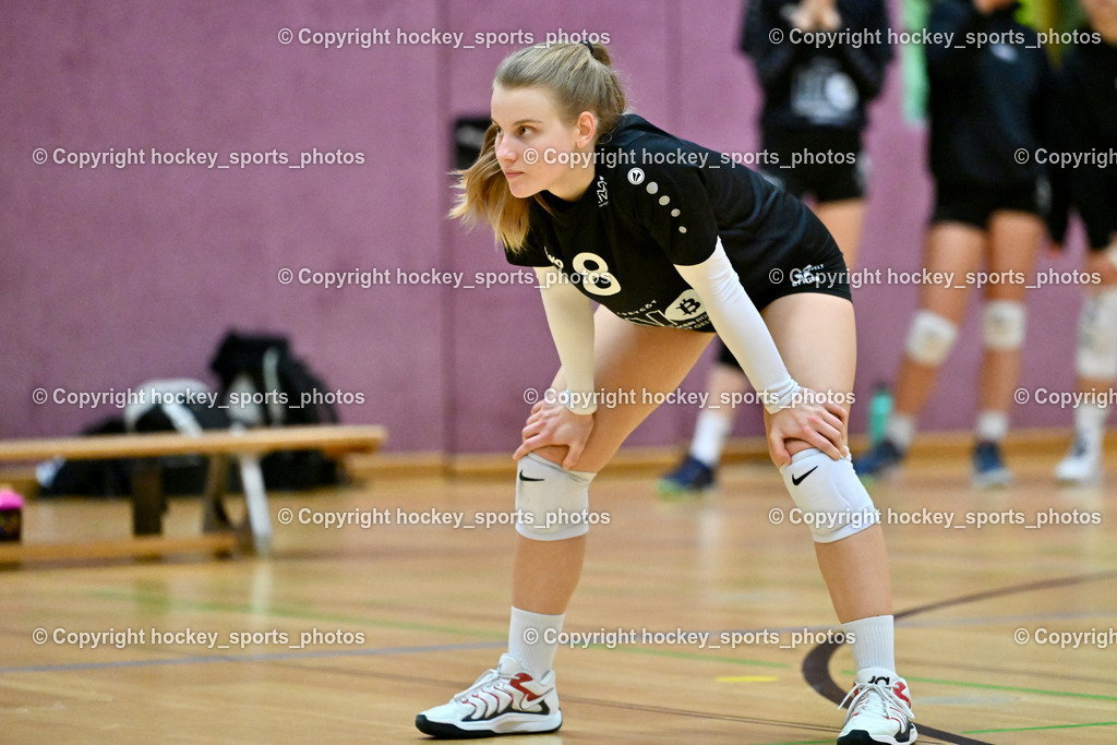 ASKÖ Volley Eagles Villach vs. VC Hausmannstätten | #8 MÖRTH Jasmin VC Hausmannstätten, ASKÖ Volley Eagles Villach vs. VC Hausmannstätten, ASKÖ Volley Eagles Villach vs. VC Hausmannstätten am 01.02.2025 in Villach (Ballspielhalle Lind), Austria, (Photo by Bernd Stefan)