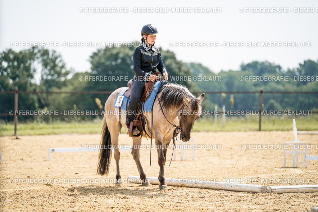 DSC09951 | Pferdegrafie