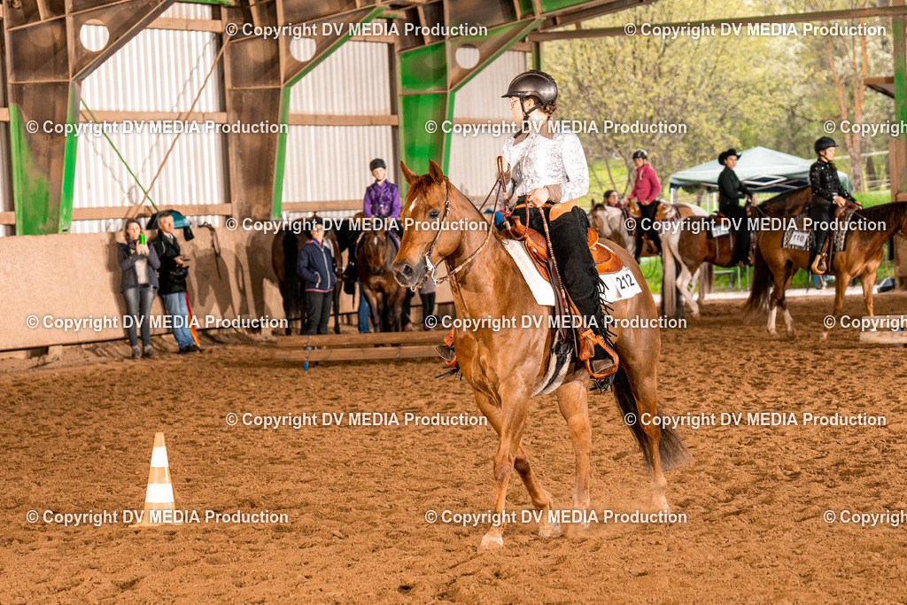 BAL00247 | dv-media-shop - Realisiert mit Pictrs.com