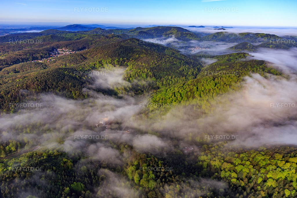 Luftbild: Morgennebel überm Erlenbach in Bad Bergzabern im Bundesland Rheinland-Pfalz in Deutschland. Foto: IMG_113766.jpg vom 29.04.2019 durch Werner Riehm/FLY-FOTO.de