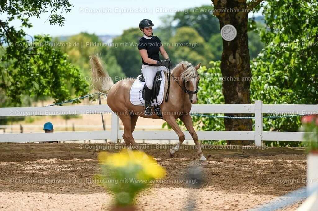 20230715_09_Dressur-WB_0533 | equistock