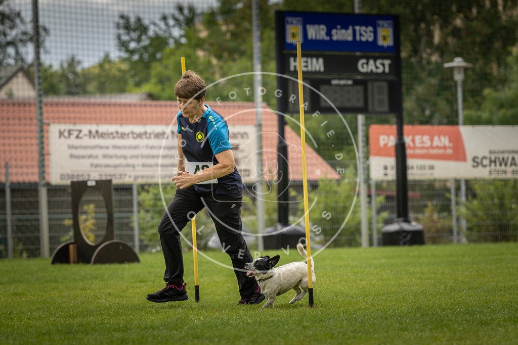 Pfotenfotografie_DV3A2883 | Hundefotografie, Tierfotograf, Pfotenfotografie, Fotoshooting Hund, Hunde Portrait, Hundesport, Hundeportraits, Heideshooting, Hunde, Sportfotograf, Hundefotograf, Turnierhundsport, THS,  - Realisiert mit Pictrs.com