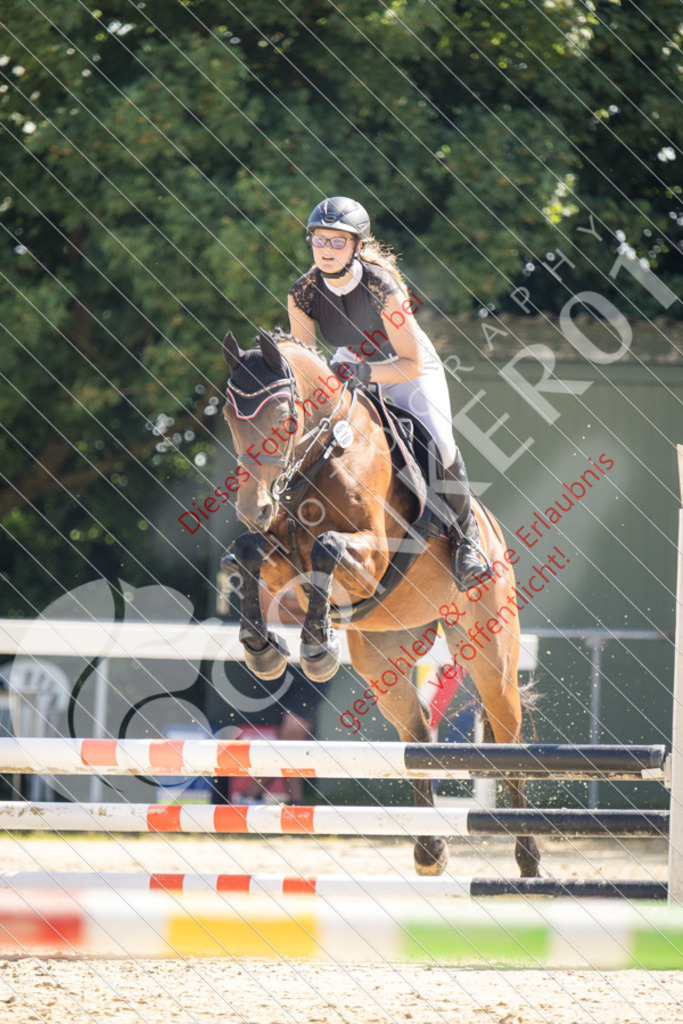 IMG_3421 | Sport-, Event- und Tierfotos in Profiqualität. Einfach auswählen, bestellen und herunterladen. Dein Moment – perfekt festgehalten.