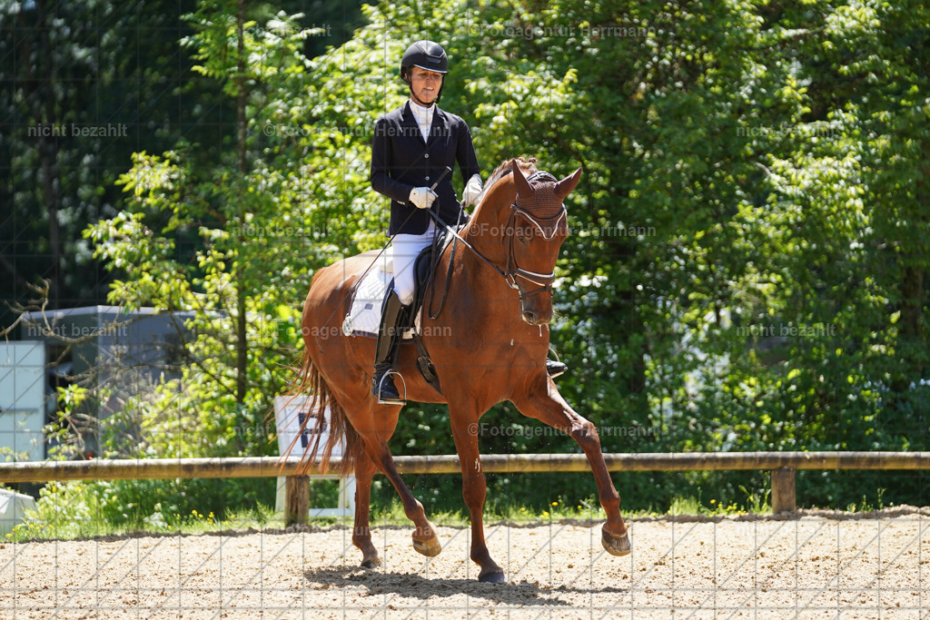 20240705-FAH04220 | Turnierbilder von Grafing, Reitsportbilder, Turnierfotos, Turnierfotografen Bayern, Pferdefotograf, Fotoagentur Herrmann