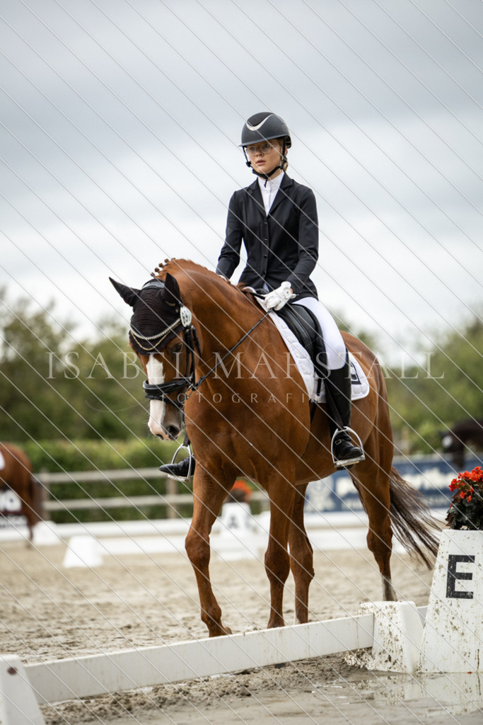DK5A6729 | Isabel Marstall Fotografie - Realisiert mit Pictrs.com