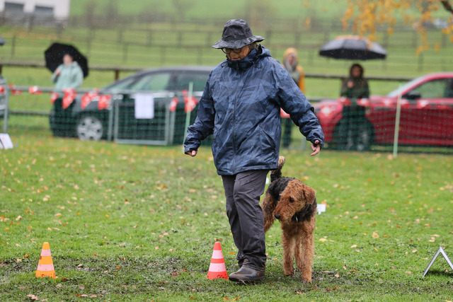 2025_Rally_Obedience_SM-223 | Ich fotografiere Hundeausstellungen, Sportanlässe, Zuchtstätten, Hundezucht, Hundeportrait, Lagotto - Realisiert mit Pictrs.com