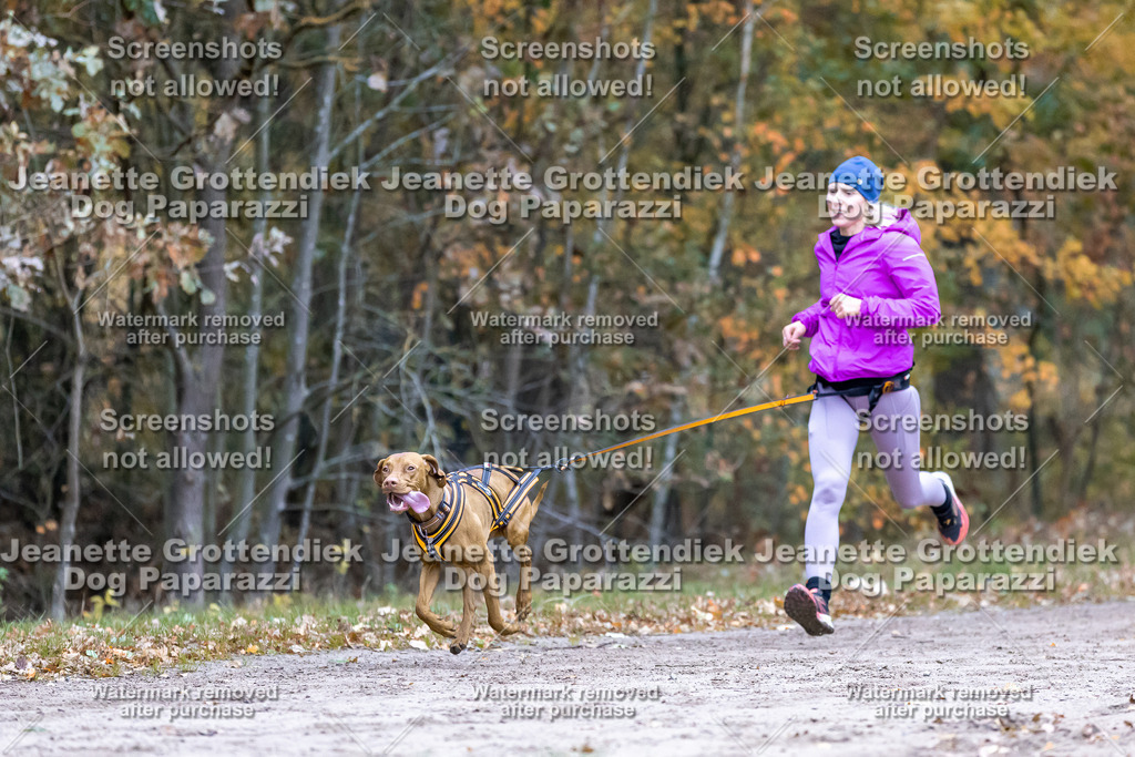 Dog Paparazzi - SD CaniX Championship 2025-99 | Dog Paparazzi Jeanette Grottendiek Fotografie & Videografie - Realisiert mit Pictrs.com