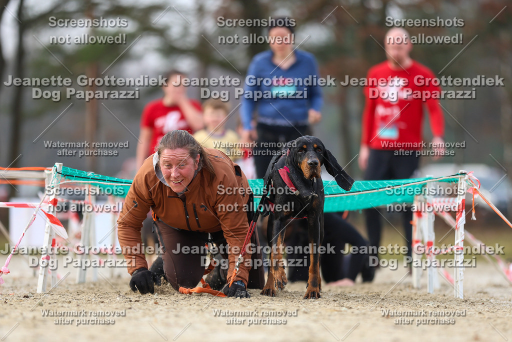Dog Paparazzi - Strongdog North Mrz26-4199 | Dog Paparazzi Jeanette Grottendiek Fotografie & Videografie - Realisiert mit Pictrs.com