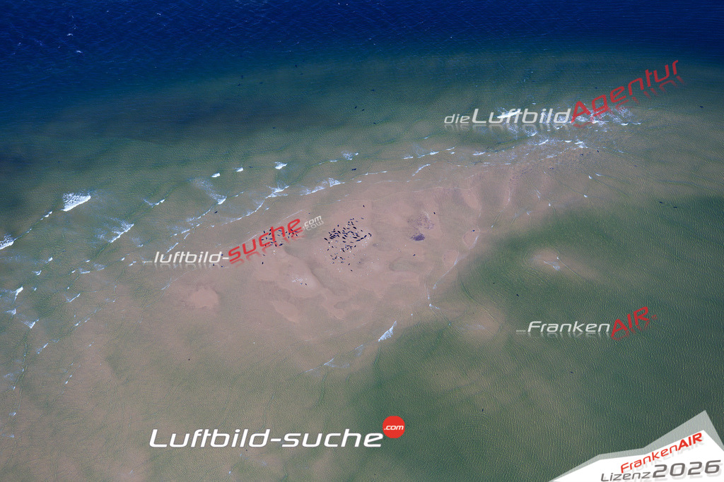 Die Luftbildaufnahme Robben - Sylt wurde 2018 mittels Flugzeug (keine Drohne) erstellt. Perfekte Schärfe und Druck- Auflösung- Garantiert!