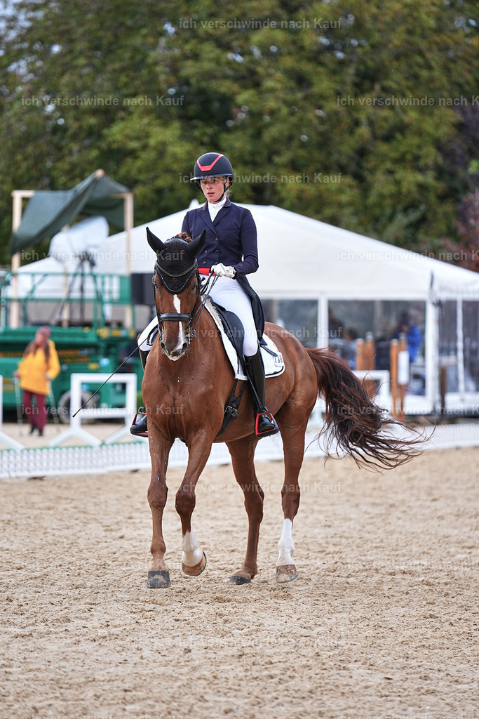 12-238-DRESSUR  S___  -Marixx-5215 | working equitationturnier fotograf videograf stoibphotography marixx film working equitation deutschland reitsport turnierfotografie eventfotografie equestrian events