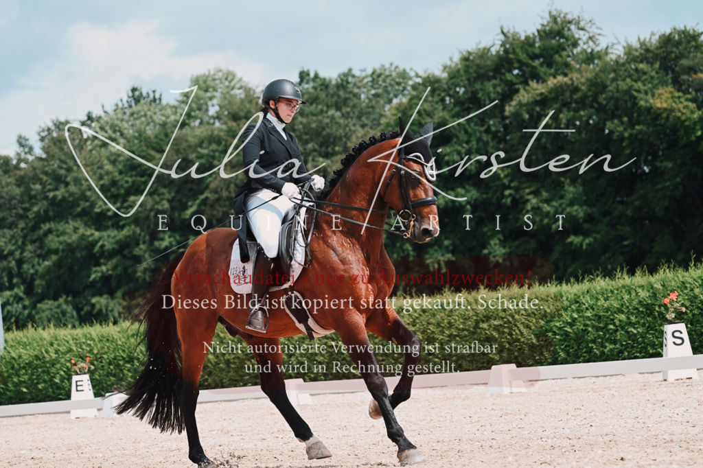 DSC_4378 | Pferde- und Turnierfotografie in Westsachsen. Pferdeportraits, Auftragszeichnungen und intuitive Kunst.