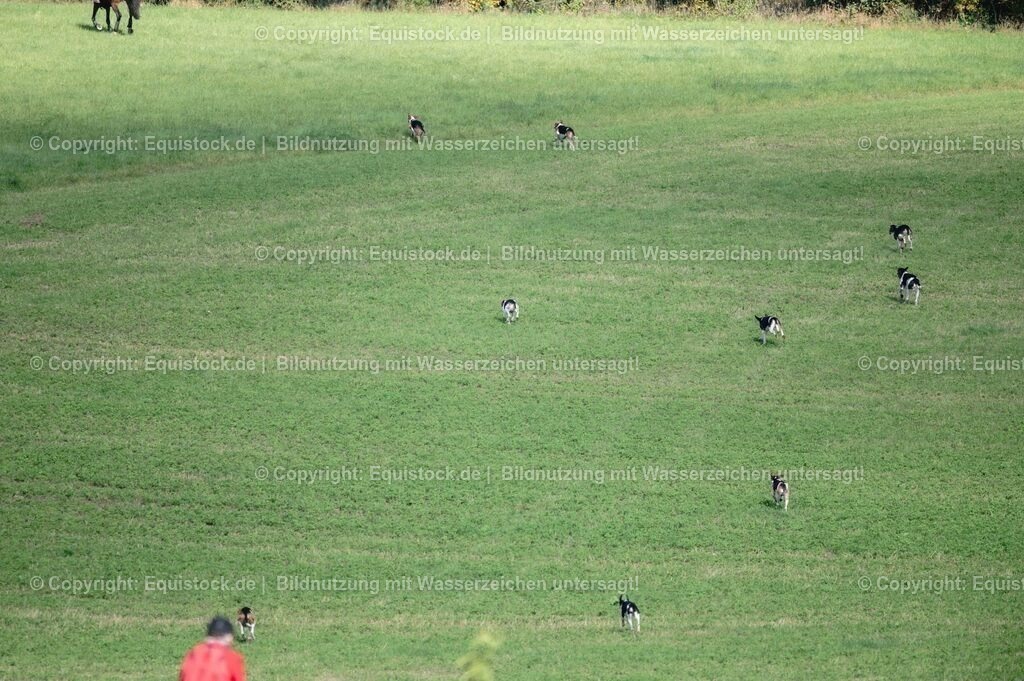 20251011_Jagd-Marbach_0240 | Foto: Thomas Hartig
