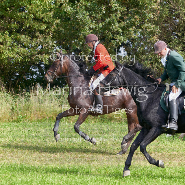 09-23 Jagd Perdöl_MCH0133_Marina Hewig | Fotografie, FotoArt, PferdesportArt, Pferdesportfotografie, Landschaftsfotografie, Reisefotografie, Reise, Pferde - Realisiert mit Pictrs.com
