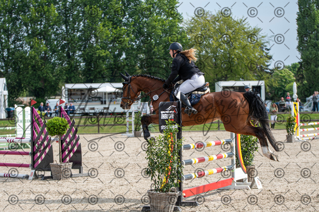 KPT_2500 | andre_photographic