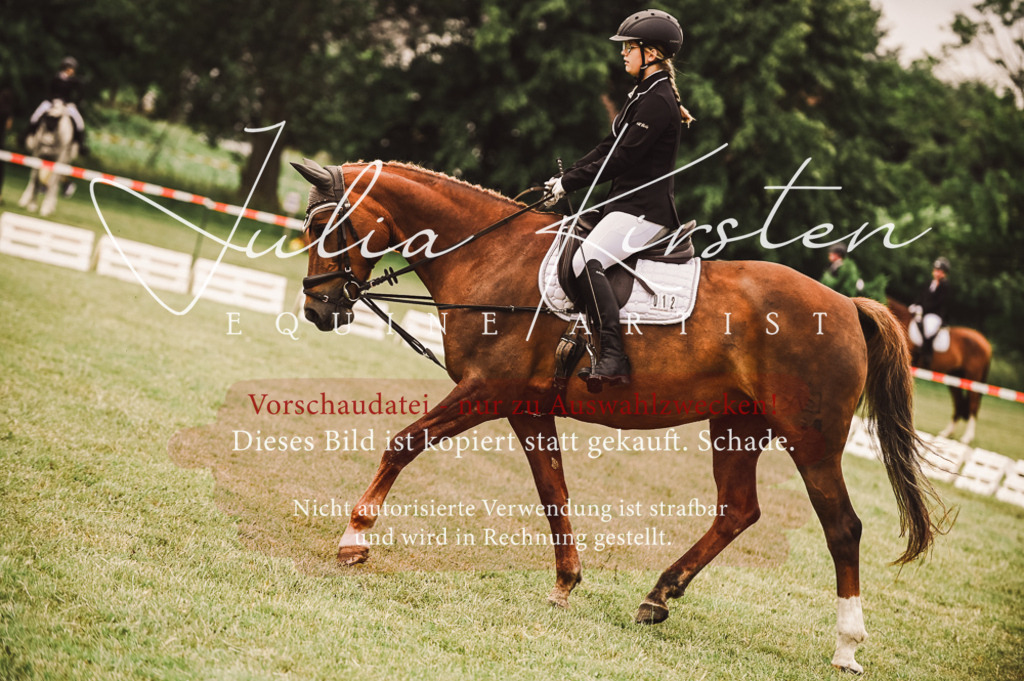 DSC_4810 | Pferde- und Turnierfotografie in Westsachsen. Pferdeportraits, Auftragszeichnungen und intuitive Kunst.