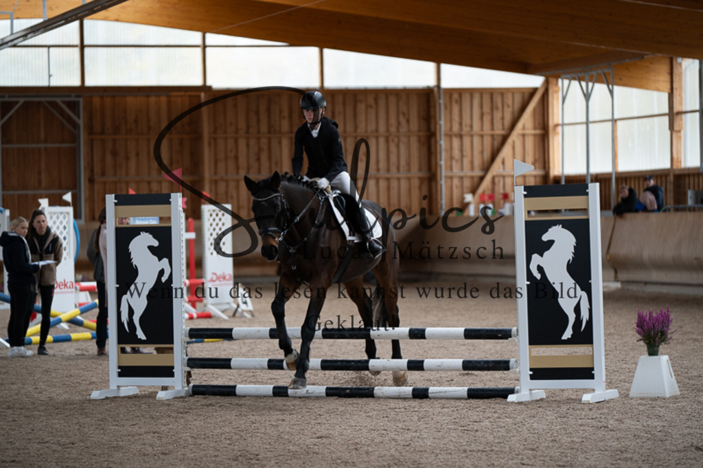 A7V02913 | Pferdefotograf