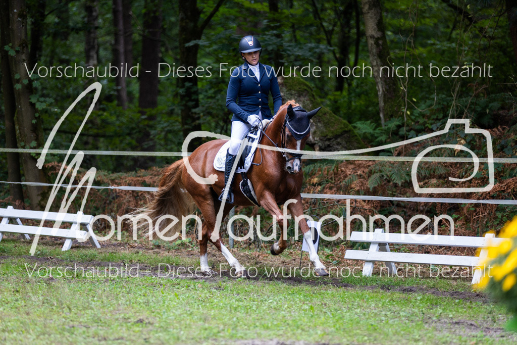 HB-A-Dressur-161 | MomenTaufnahmen Pferdesportfotos