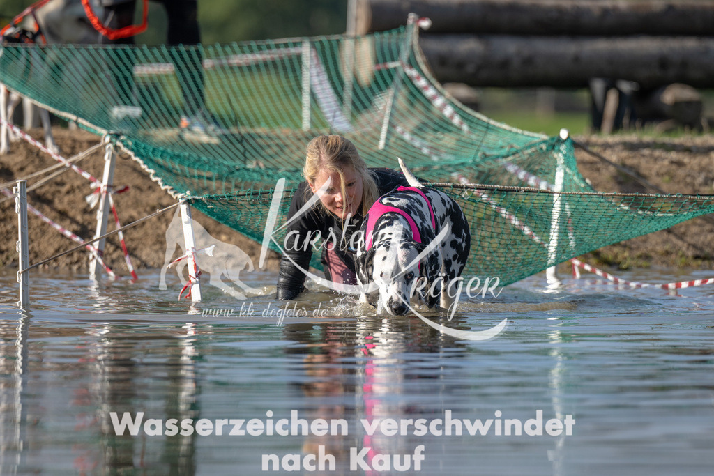 1117_ZZ92115 | kk-dogfotos