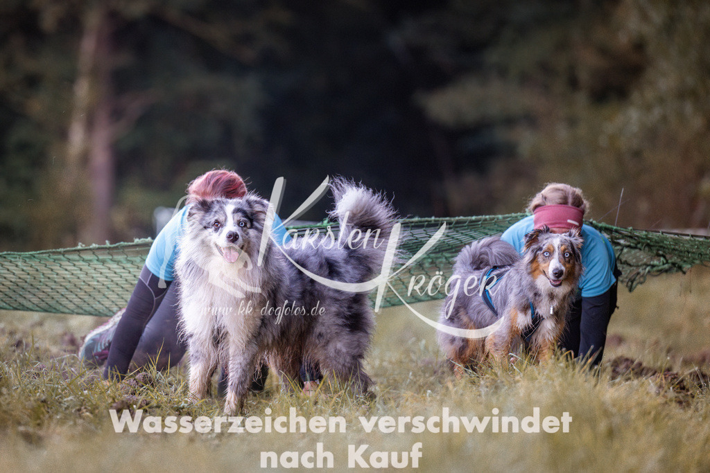 0816_ZZ90115 | kk-dogfotos