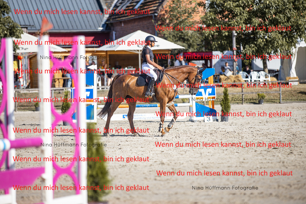 BK1A7315 | Turnierbilder Turnierfotos Nina Hüffmann Turnierfotografie Pferdefotografie Tierzeichnung Haustierzeichnung Pferdezeichnung Hundezeichnung Videograf  - Realisiert mit Pictrs.com