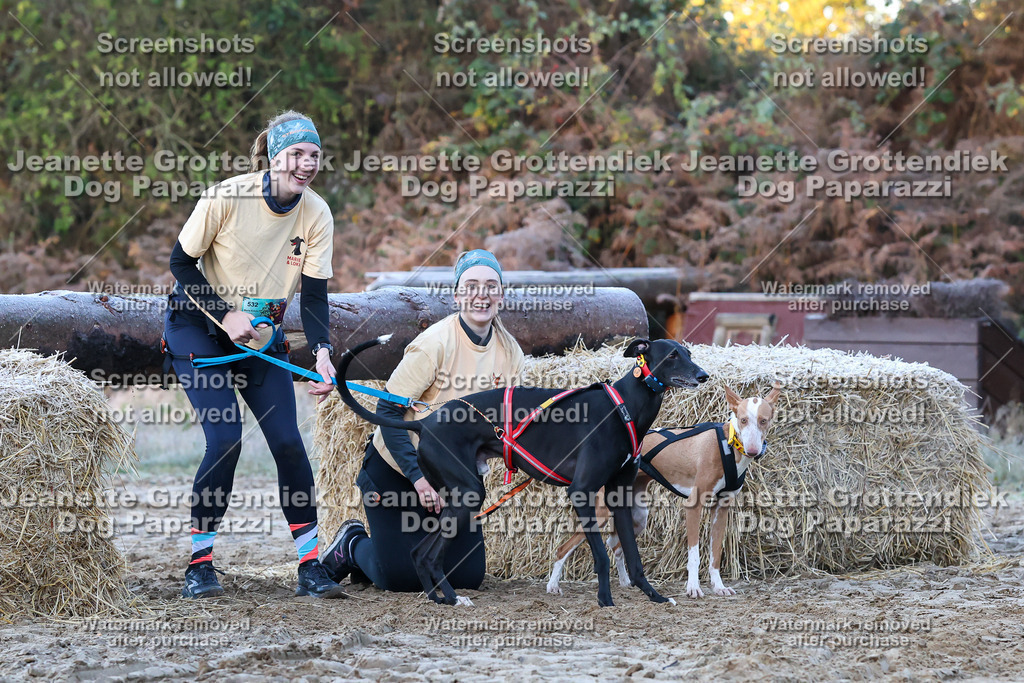 Dog Paparazzi - Strongdog 10-25-326 | Dog Paparazzi Jeanette Grottendiek Fotografie & Videografie - Realisiert mit Pictrs.com