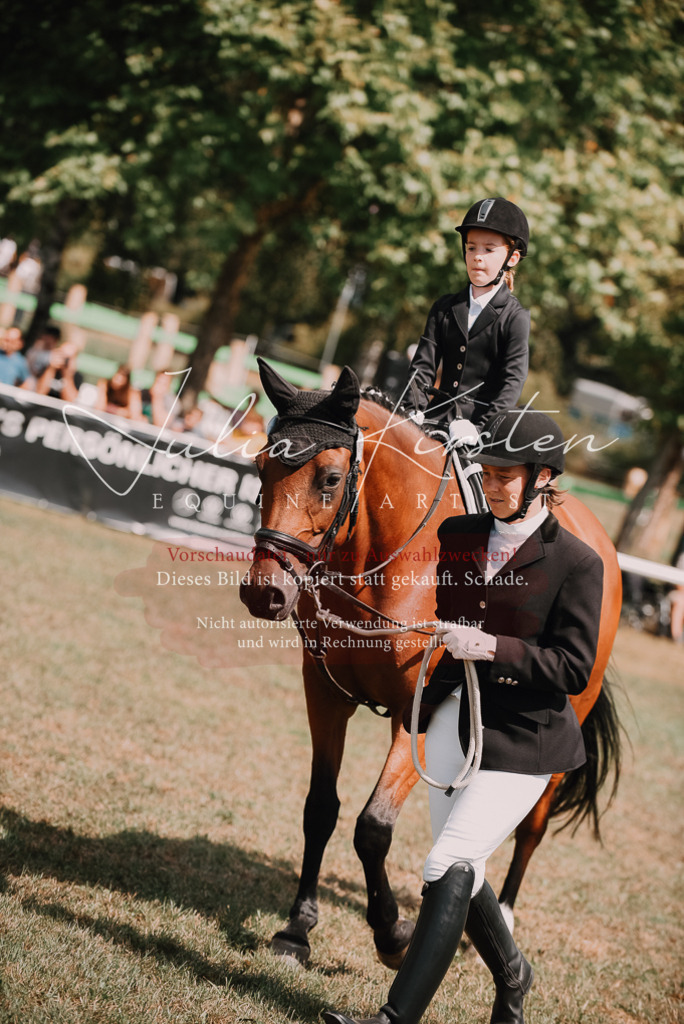 DSC_6153 | Pferde- und Turnierfotografie in Westsachsen. Pferdeportraits, Auftragszeichnungen und intuitive Kunst.