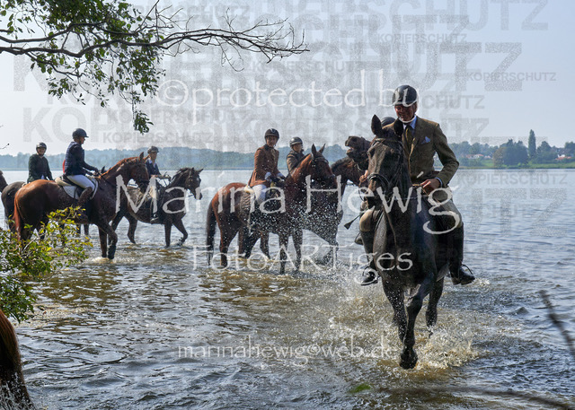 09-23 JAgd PerdölDSC02254_Marina Hewig | Fotografie, FotoArt, PferdesportArt, Pferdesportfotografie, Landschaftsfotografie, Reisefotografie, Reise, Pferde - Realisiert mit Pictrs.com