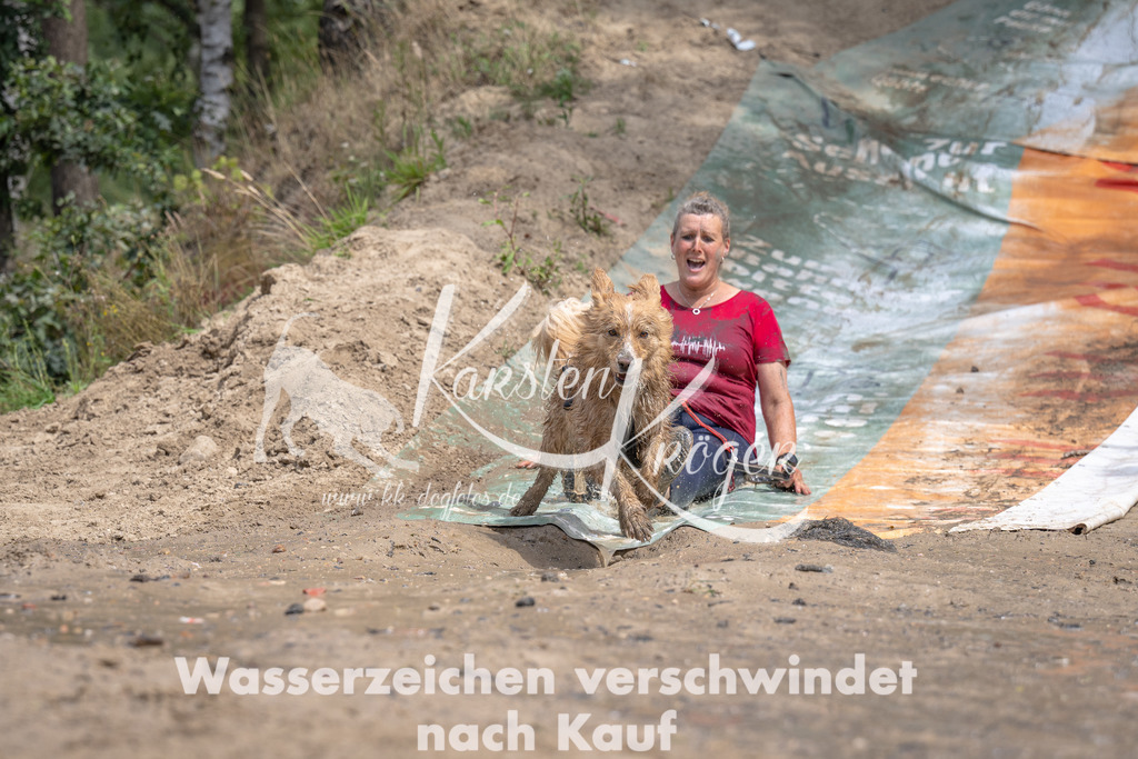 1251_ZZ94379 | kk-dogfotos