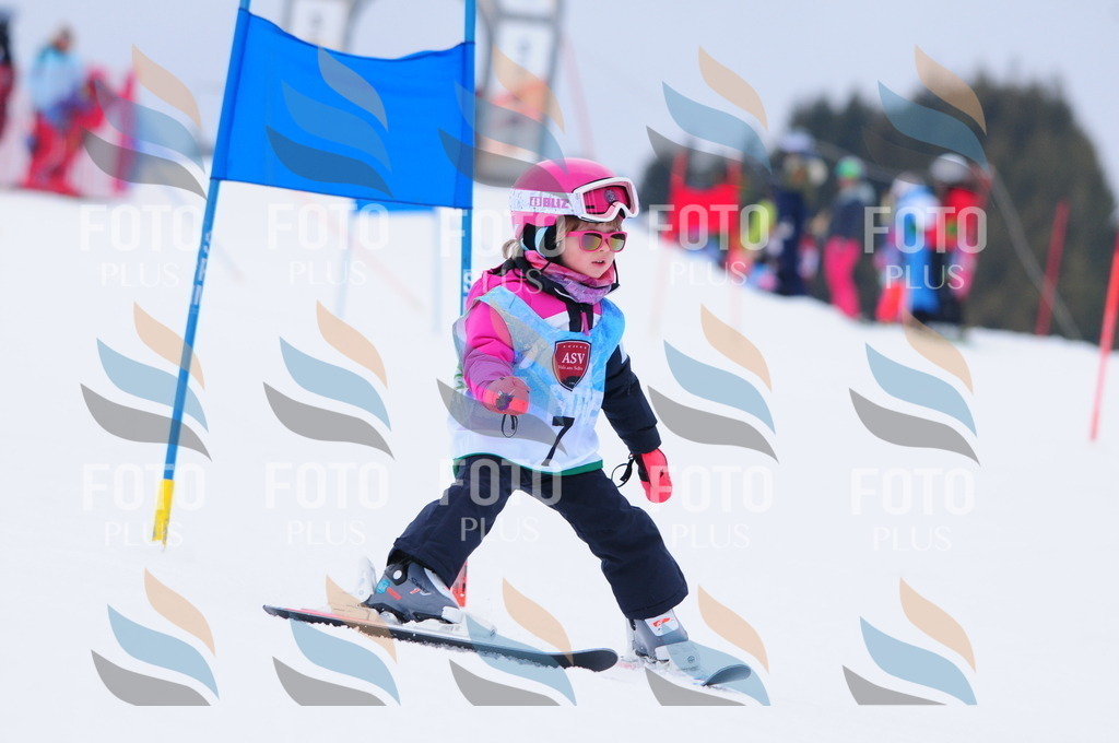 A3343 | holidayphoto