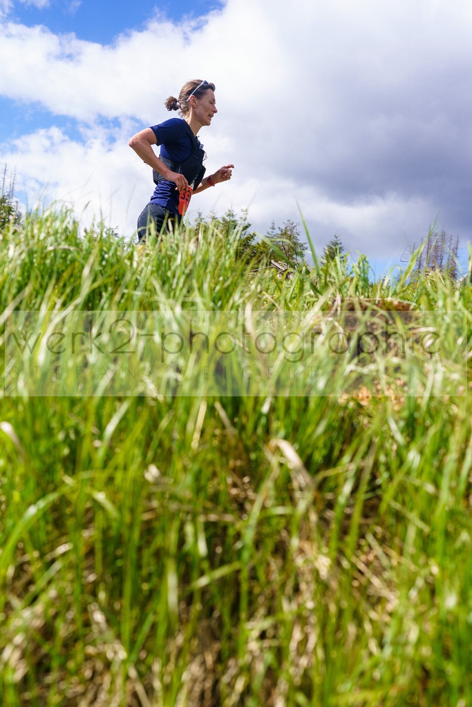 Rennsteiglauf Marathon 2025 | Marathon von Neuhaus/Rwg. nach Schmiedefeld/Rstg. am 17. Mai 2025