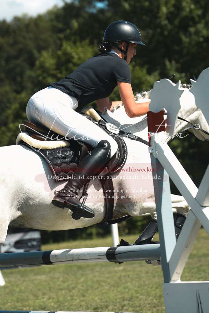 DSC_6893 | Pferde- und Turnierfotografie in Westsachsen. Pferdeportraits, Auftragszeichnungen und intuitive Kunst.