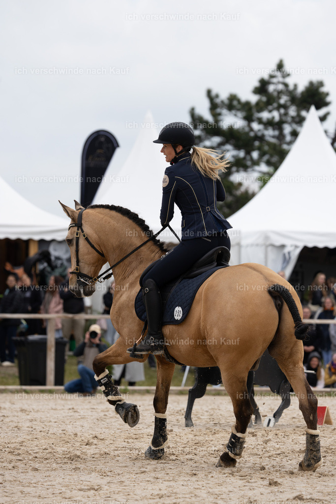 PI26_SP_StoibphotographyC2_C0798.jpg | working equitationturnier fotograf videograf stoibphotography marixx film working equitation deutschland reitsport turnierfotografie eventfotografie equestrian events