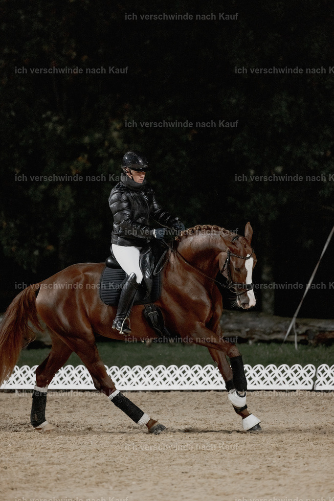 FHClassics-18 | working equitationturnier fotograf videograf stoibphotography marixx film working equitation deutschland reitsport turnierfotografie eventfotografie equestrian events