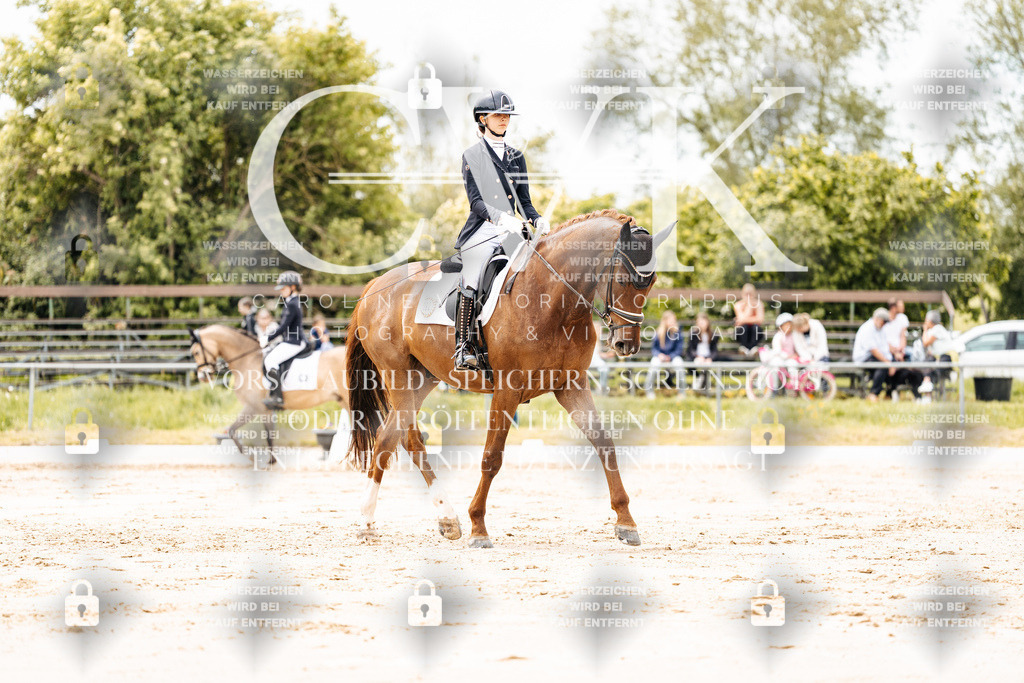 CK902771 | Turnierfotografie Pferdefotografie Trier Rheinland-Pfalz Pferdesport Reitsport Tierfotografie Sportfotografie Pferdevideo Pferdevideografie Equestrianvideography equestrianphotography  - Realisiert mit Pictrs.com