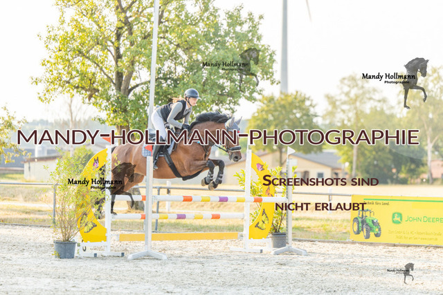 26-7-25 Amateur SPR A++-85 | mandyhollmannphotographie