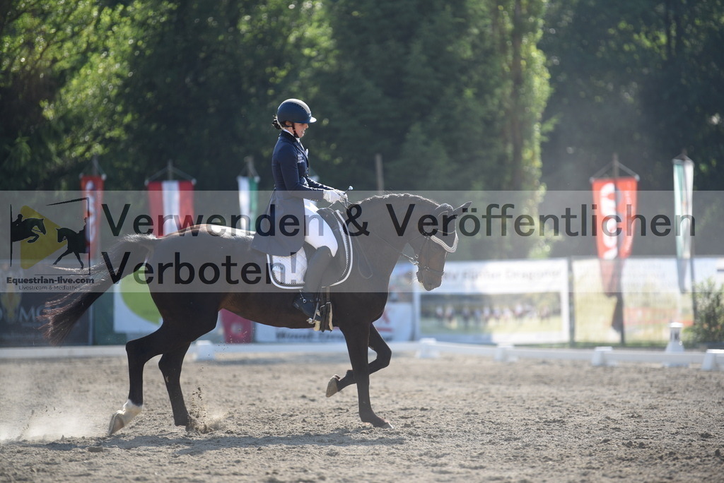 DSC_2650 | equestrian-live-com