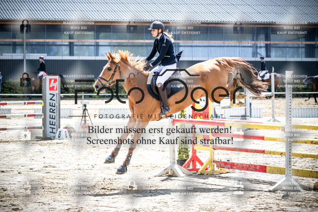 DOS_1610 | Reitturnier Lüdinghausen - Realisiert mit Pictrs.com